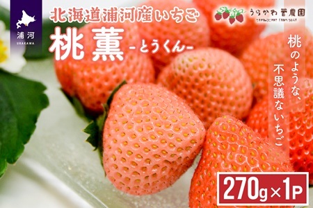 【今が旬！】北海道浦河産いちご「桃薫」270g×1P[13-279]