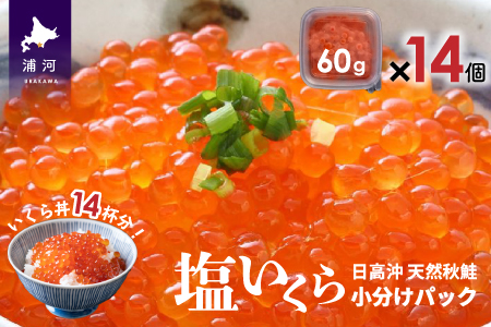【時鮭スモークサーモン付】北海道日高産 塩いくら小分けパック(60g×14)[15-543]