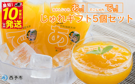 ＜じゅれギフト 5個セット＞ 飲むゼリー 果物 みかん 伊予柑 温州 柑橘 ジュレ デザート おやつ スイーツ あけはまシーサイドサンパーク 飲んで応援 贈答用 愛媛県西予市【常温】『1か月以内に順次出荷予定』AAS0001