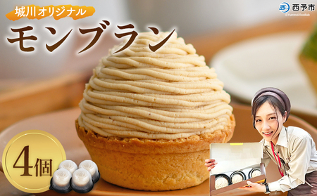 栗 スイーツ ＜城川オリジナル モンブラン 4個入り＞ 洋菓子 ケーキ おかし マロン くり クリ 国産 和栗 ペースト クリーム 渋皮煮 生クリーム チーズ タルト メニークエスト 愛媛県 西予市【冷凍】『3か月以内に順次出荷予定』ふるさと納税モンブラン SMQ0004