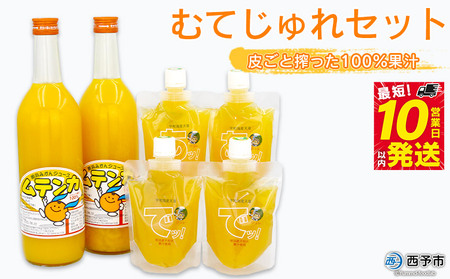 ＜むてじゅれセット（みかんジュース「ムテンカ」720ml×2本 じゅれ 2種×2個）MJ-2＞温州みかん ミカン 飲むゼリー あけはまシーサイドサンパーク 贈答用 愛媛県西予市【常温】『最短10営業日以内に順次発送予定』 AAS0003