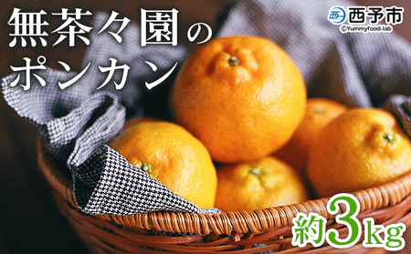 かんかん様 リクエスト 3点 まとめ商品 先行予約 ＜無茶々園のポンカン 約3kg＞ 果物 くだもの フルーツ