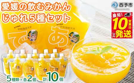 ＜愛媛の飲むみかんじゅれ 5種セット 計10個(5種類×各2個)＞ 飲むゼリー 果物 温州みかん 伊予柑 デザート スイーツ あけはまシーサイドサンパーク 贈答用 愛媛県西予市【常温】『最短10営業日以内に順次発送予定』AAS0004