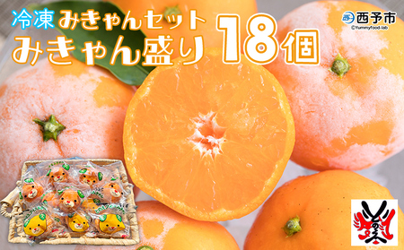 ＜冷凍みきゃんセット みきゃん盛り 温州みかん18個セット（皮付き 10個・皮無し8個）＞ ミカン 温州みかん 柑橘 果物 フルーツ デザート 詰め合わせ 特産品 渡江から一歩を踏み出す会 食べて応援 愛媛県 西予市【冷凍】『1か月以内に順次出荷予定』ATI0006