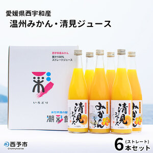 愛媛県西宇和産温州みかん・清見ジュース6本セット MMH0002