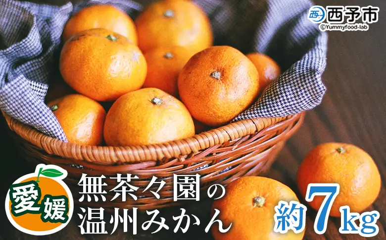 無茶々園 温州みかん 約7kg＞ 【先行予約】果物 くだもの ミカン 蜜柑