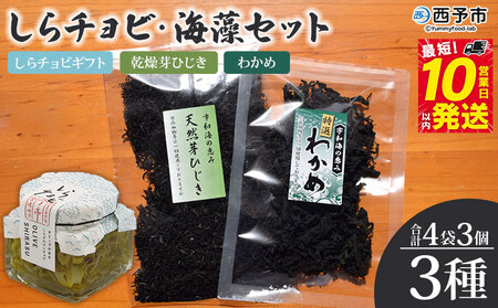 ＜しらチョビ 海藻セット＞ しらす シラス 魚 芽ひじき わかめ オイル漬け アンチョビ しらちょび ご飯のお供 パスタ おつまみ 加工品 贈答 ギフト 手土産 贈り物 特産品 今市水産 愛媛県 西予市 【常温】『最短10営業日以内に順次発送予定』 AIS0004