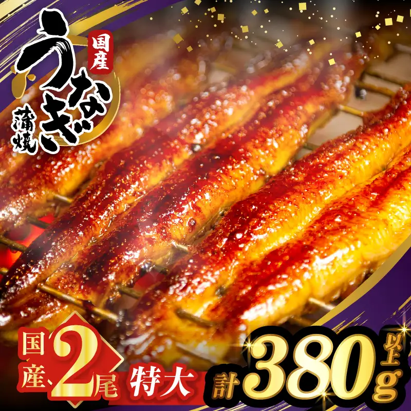うなぎ蒲焼特大2尾(さんしょう・たれ付き)計380g以上 鰻 魚 魚介 加工品 国産_T026-0065