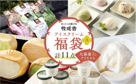 飛騨 ミルクの旨味たっぷり アイスクリーム 福袋 [Q123] アイス