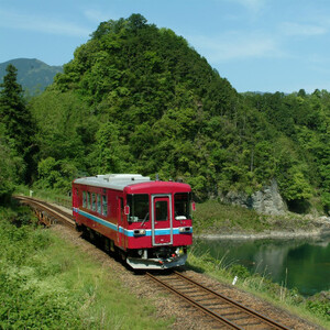 ふるさと納税記念　長良川鉄道 全線 １日 フリー 乗車証 | 長良川 鉄道 列車 列車旅 M12S70 
