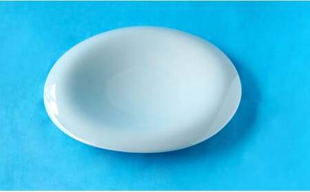 有田焼 青白磁渕下りパスタ皿 有田焼 プレート【神田陶器店】 青白磁 可愛い プレート 和食 プレゼント シンプル A24-212