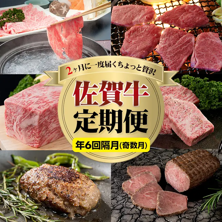 【定期便】 (年6回/奇数月お届け) 佐賀牛 牛肉 定期便 Q108-002