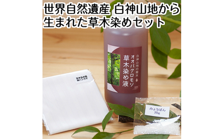 世界自然遺産白神山地から生まれた草木染めセット 雑貨 日用品 ファッション小物 