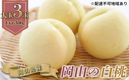 桃 2026年 先行予約 岡山の 白桃 大玉3玉（晩生種）（1玉約300g）