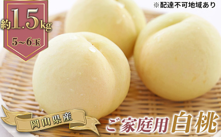 桃 2026年 先行予約 ご家庭用 白桃（晩生種）5～6玉 合計約1.5kg