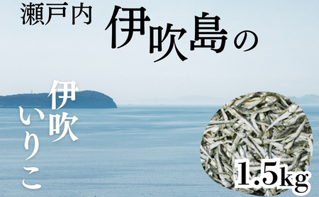 伊吹いりこ 1.5kg　出汁 さぬき特産 魚貝 魚介類 