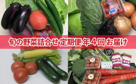 旬の野菜詰合せ（年間4回定期便） 野菜類 セット 頒布会 