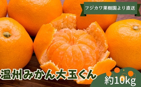 2026年秋よりお届け 温州みかん大玉くん　約10kg 果物類 柑橘類 フルーツ 蜜柑 ミカン くだもの 