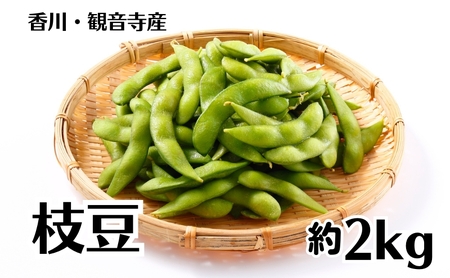 枝豆 約2kg 野菜 えだ豆　 