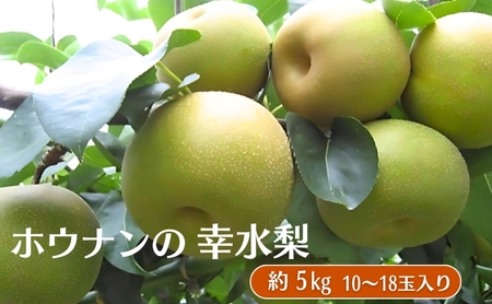 ホウナンの梨（幸水梨）約5kg 果物 フルーツ ナシ 先行予約 