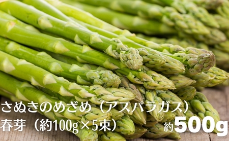 さぬきのめざめ（アスパラガス）春芽  約500g（約100g×5束） 野菜セット 旬野菜