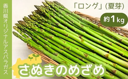 香川県オリジナルアスパラガス「さぬきのめざめロング」(夏芽) 約1kg 野菜 野菜セット 
