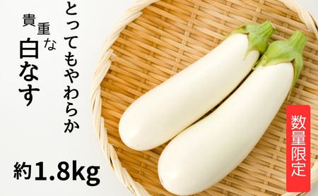 【数量限定】とっても柔らか 貴重な白なす 約1.8kg 茄子 野菜 野菜セット 