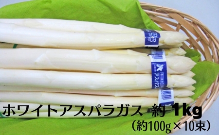 ホワイトアスパラガス  約1kg 野菜 