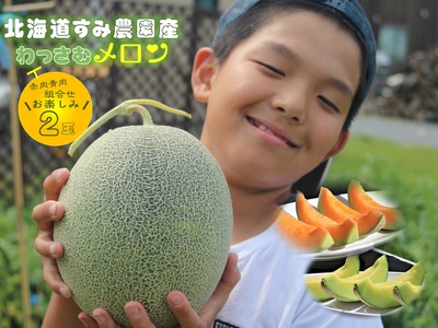【ふるさと納税】≪令和8年産予約≫わっさむ産メロン（お任せ2玉）【7～8月お届け】