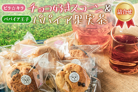 「ピラ☆キラ」のチョコ好きスコーン 8個＆「パパイア王子」のパパイア果実茶 詰合せ（卵・乳製品・白砂糖 不使用）【B433】