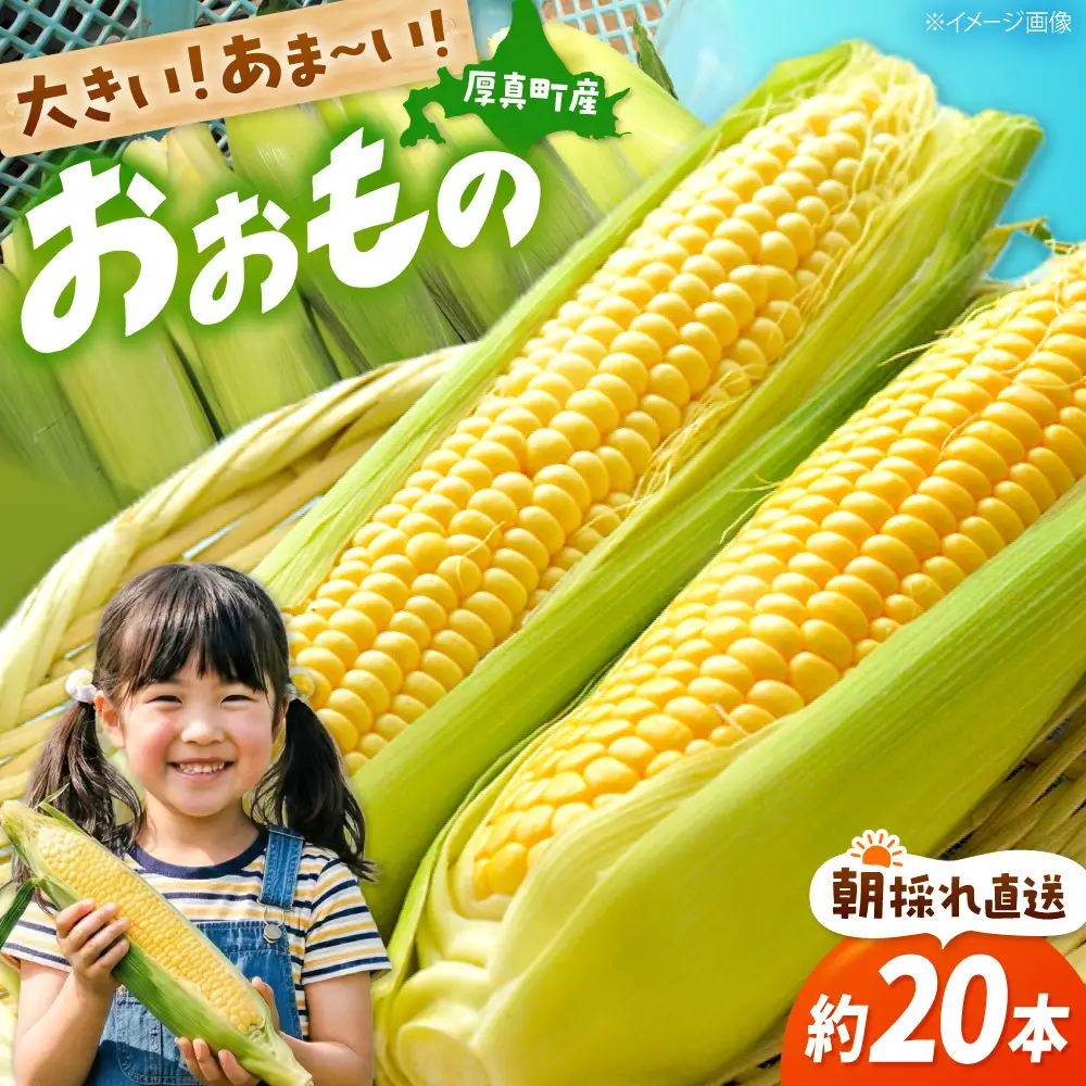 【2026年8月下旬発送予定】とうもろこし おおもの とうきび 先行予約 とうもろこし [AXAE001]