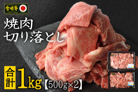 宮崎牛 焼肉 切り落とし 合計1kg（500g×2P）ウデ 牛肉 切り落し 切落し BBQ 国産 普段使い 九州産【C269-30】
