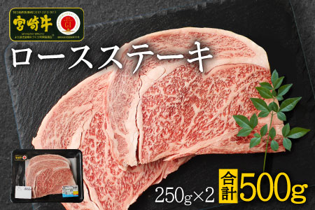 宮崎牛 ロースステーキ 合計500g（250g×2P） 国産 肉 牛肉 ご飯 おかず BBQ ディナー お祝い【C270-30】