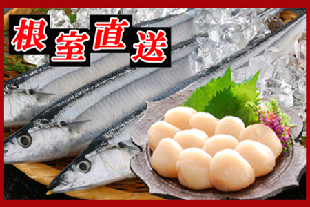 冷凍生さんま5尾×2P、ほたて貝柱200g×1P A-30033
