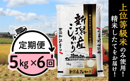 31-K56【6ヶ月連続お届け】新潟県産コシヒカリ5kg