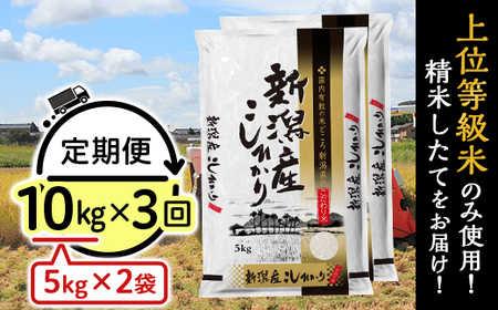 31-K103【3ヶ月連続お届け】新潟県産コシヒカリ10kg（5kg×2袋）