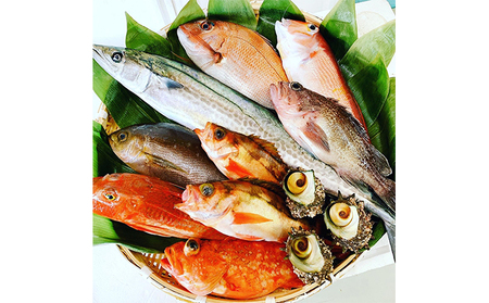 京都府宮津市産『朝どれ！山一鮮魚おおきに便』約4～5kg 魚介類 セット 産地直送 鮮魚 内臓処理加 鮮度抜群 冷蔵 詰め合わせ 旬 鯛  内臓処理加工
