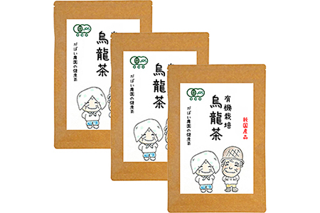 有機栽培 烏龍茶（3個セット）：B210-002