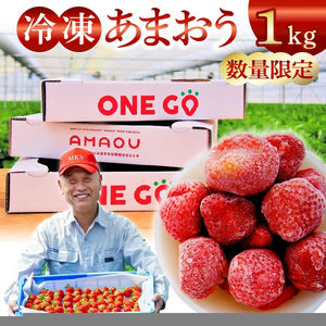 【数量限定】福岡県産あまおう（冷凍1kg）特別栽培_数量限定 急速冷凍 いちご あまおう 1kg 冷凍 3Dフリーザー 長期保存可能 国産 サクサク シャーベット フルーツ デザート フレッシュ 果物 便利 安心 長持ち 無添加 無香料 無加糖 エコファーマー GAP認定 福岡県 久留米市 送料無料 〔Fi203〕