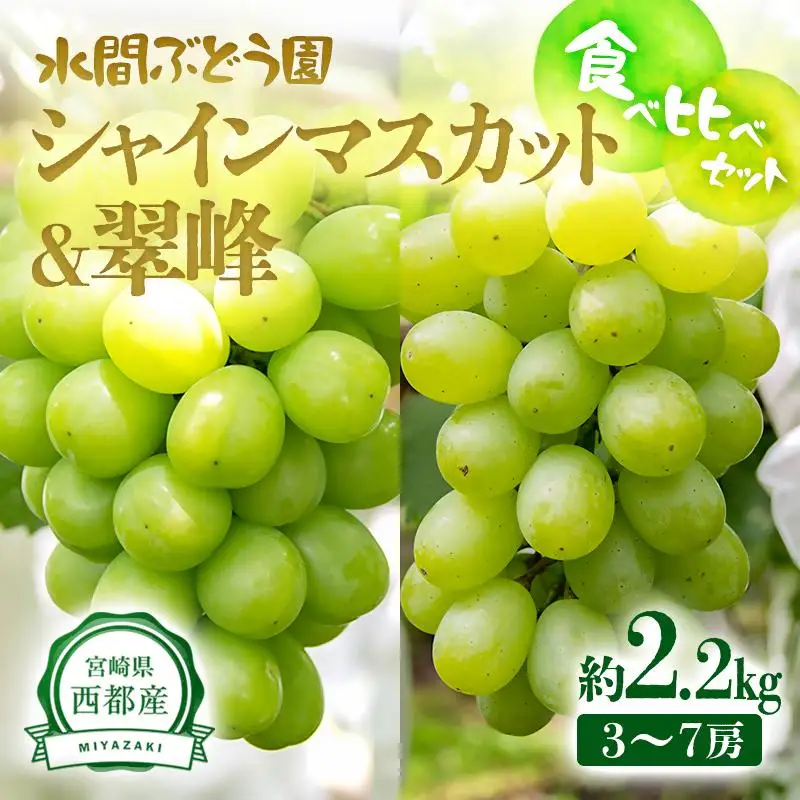 【先行予約】シャインマスカット＆翠峰 2.2kg 3～7房 食べ比べセット 西都産完熟ぶどう 水間ぶどう園＜16-5a＞