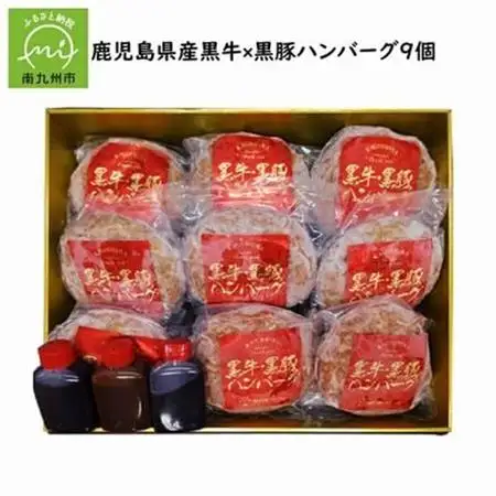 鹿児島県産 黒牛×黒豚ハンバーグ9個【配送不可地域：離島】【1185915】
