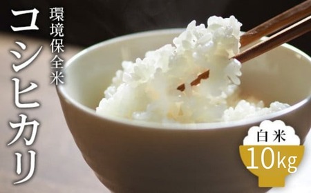 令和7年産 白米 環境保全米 コシヒカリ 10kg｜棚田米 お米 こしひかり 新米 こめ コメ 精米 おこめ もちもち 冷めても 美味しい 高品質 富山 魚津※北海道・沖縄・離島への配送不可