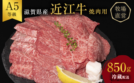 【近江牛 西川畜産】A5ランク雌牛 焼肉用 約850g （モモ・カタ・ウデ・バラ系等） ふるさと納税 お肉 牛肉 バーベキュー バラ(カルビ) ブランド牛
