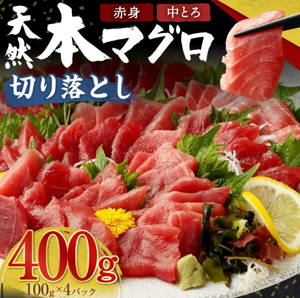 本まぐろ 赤身 中トロ 約400g まぐろ【tk024】