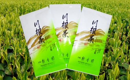 初摘み茶3本セット お茶 緑茶