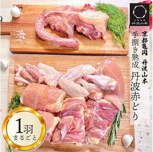 鶏肉 丹波赤どり1羽まるごと 鶏肉 鶏肉 鶏肉 鶏肉 鶏肉 鶏肉