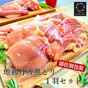 鶏肉 地鶏 丹波黒どり 1羽まるごと 訳あり鶏肉