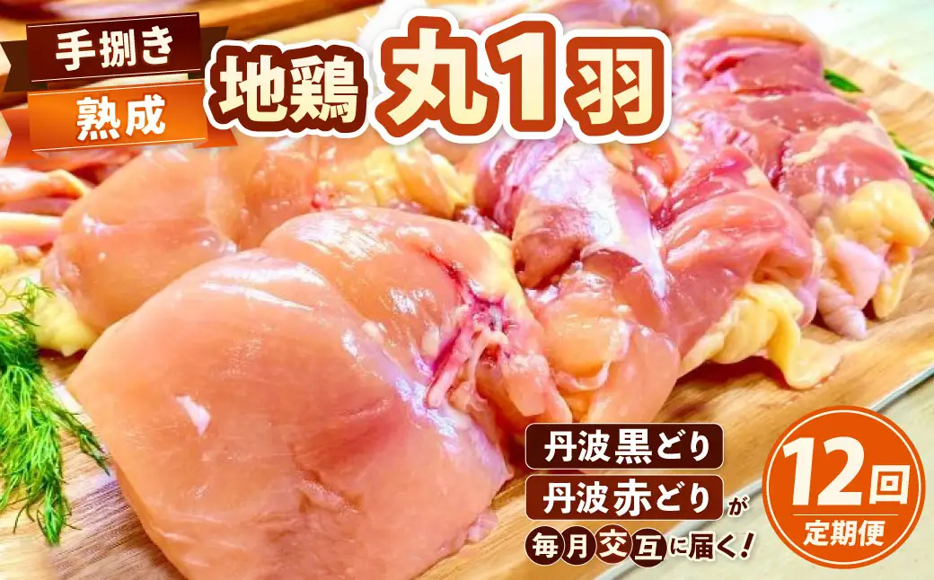 【12回定期便】鶏肉 地鶏丹波黒どり・丹波赤どり 訳あり鶏肉