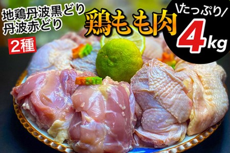 鶏肉 地鶏丹波黒どり&丹波赤どりもも各2kg 計4kg 丹波山本 鶏肉 国産鶏肉 鶏肉 亀岡産鶏肉 訳あり鶏肉