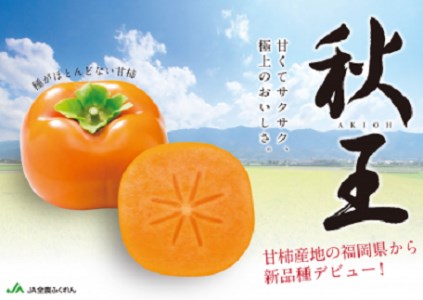 AB146.九州・福岡より直送．秋の王様・新ブランド柿『秋王』約1.5kg／2026年10月～11月発送予定【秋王】